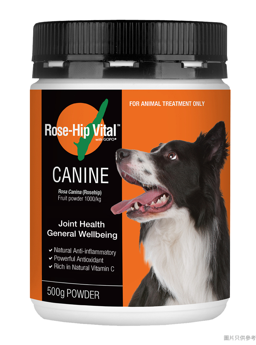 Rose-Hip Vital - 澳洲玫瑰果籽犬類關節維生素 500g X 5樽