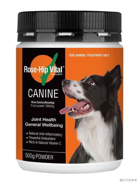 Rose-Hip Vital - 澳洲玫瑰果籽犬類關節維生素 500g X 5樽