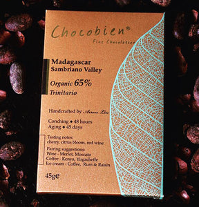 Chocobien Chocolatier - 65% 馬達加斯加手工精品朱古力